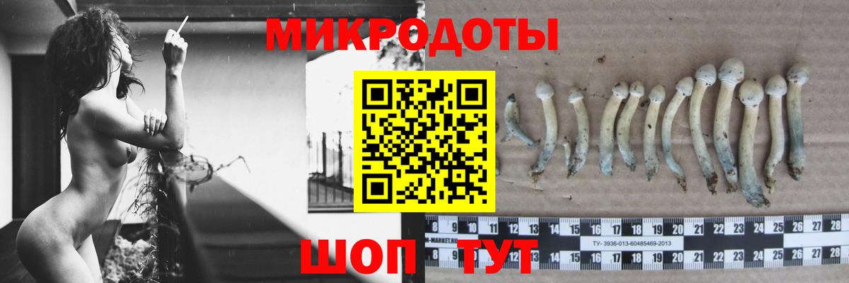 Галлюциногенные грибы мухоморы Ревда
